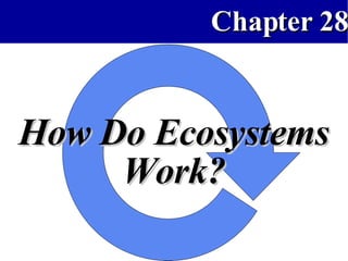 How Do Ecosystems Work? 