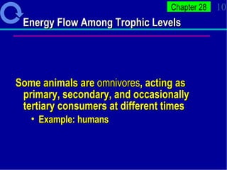 Energy Flow Among Trophic Levels Some animals are  omnivores , acting as primary, secondary, and occasionally tertiary consumers at different times Example: humans  