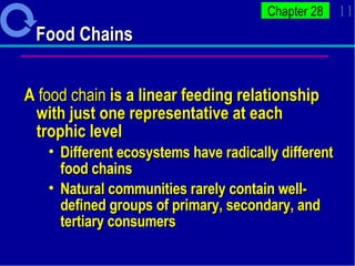 Food Chains  A  food chain  is a linear feeding relationship with just one representative at each trophic level  Different ecosystems have radically different food chains Natural communities rarely contain well-defined groups of primary, secondary, and tertiary consumers  