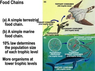 Food Chains (a) A simple terrestrial food chain. (b) A simple marine food chain. 10% law determines the population size of each trophic level More organisms at lower trophic levels 