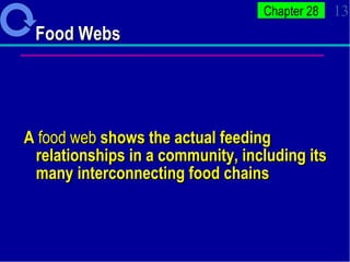 Food Webs  A  food web  shows the actual feeding relationships in a community, including its many interconnecting food chains  