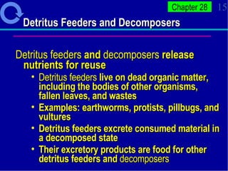 Detritus Feeders and Decomposers Detritus feeders  and  decomposers  release nutrients for reuse Detritus feeders  live on dead organic matter, including the bodies of other organisms, fallen leaves, and wastes Examples: earthworms, protists, pillbugs, and vultures Detritus feeders excrete consumed material in a decomposed state  Their excretory products are food for other detritus feeders and  decomposers 