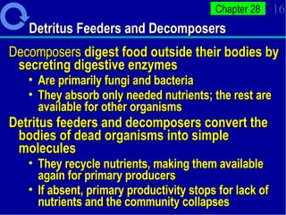 Detritus Feeders and Decomposers Decomposers  digest food outside their bodies by secreting digestive enzymes Are primarily fungi and bacteria  They absorb only needed nutrients; the rest are available for other organisms  Detritus feeders and decomposers convert the bodies of dead organisms into simple molecules  They recycle nutrients, making them available again for primary producers If absent, primary productivity stops for lack of nutrients and the community collapses 