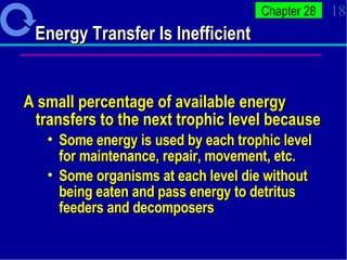 Energy Transfer Is Inefficient A small percentage of available energy transfers to the next trophic level because Some energy is used by each trophic level for maintenance, repair, movement, etc.  Some organisms at each level die without being eaten and pass energy to detritus feeders and decomposers 