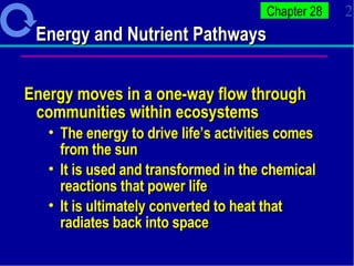 Energy and Nutrient Pathways Energy moves in a one-way flow through communities within ecosystems The energy to drive life’s activities comes from the sun  It is used and transformed in the chemical reactions that power life It is ultimately converted to heat that radiates back into space  