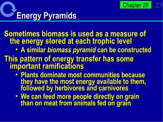 Energy Pyramids  Sometimes biomass is used as a measure of the energy stored at each trophic level A similar  biomass pyramid  can be constructed  This pattern of energy transfer has some important ramifications Plants dominate most communities because they have the most energy available to them, followed by herbivores and carnivores  We can feed more people directly on grain than on meat from animals fed on grain 