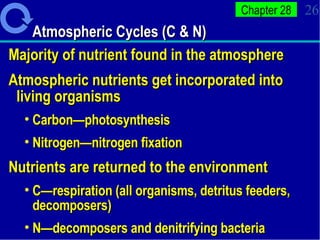 Atmospheric Cycles (C & N) Majority of nutrient found in the atmosphere Atmospheric nutrients get incorporated into living organisms Carbon—photosynthesis Nitrogen—nitrogen fixation Nutrients are returned to the environment C—respiration (all organisms, detritus feeders, decomposers) N—decomposers and denitrifying bacteria 