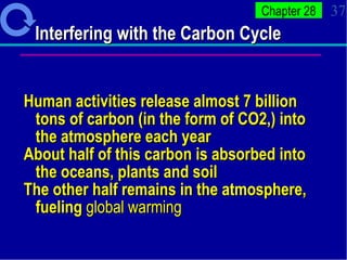 Interfering with the Carbon Cycle Human activities release almost 7 billion tons of carbon (in the form of CO2,) into the atmosphere each year About half of this carbon is absorbed into the oceans, plants and soil The other half remains in the atmosphere, fueling  global warming   