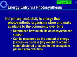 Energy Entry via Photosynthesis Net primary productivity  is energy that photosynthetic organisms store and make available to the community over time Determines how much life an ecosystem can support  Can be measured as the amount of energy ( calories ) or  biomass  (dry weight of organic material) stored or added to the ecosystem per unit area over time 