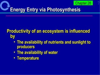 Energy Entry via Photosynthesis   Productivity of an ecosystem is influenced by The availability of nutrients and sunlight to producers The availability of water Temperature 