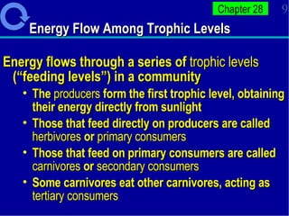 Energy Flow Among Trophic Levels  Energy flows through a series of  trophic levels  (“feeding levels”) in a community  The  producers  form the first trophic level, obtaining their energy directly from sunlight  Those that feed directly on producers are called  herbivores  or  primary   consumers Those that feed on primary consumers are called  carnivores  or  secondary consumers Some carnivores eat other carnivores, acting as  tertiary consumers 