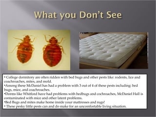 College dormitory are often ridden with bed bugs and other pests like: rodents, lice and coachroaches, mites, and mold. Among these McDaniel has had a problem with 3 out of 4 of these pests including: bed bugs, mice, and coachroaches. Dorms like Whitford have had problems with bedbugs and cochroaches, McDaniel Hall is contaminated with mice and other latent problems. Bed Bugs and mites make home inside your mattresses and rugs! These pesky little pests can and do make for an uncomfortable living situation. 