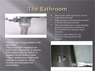 Here we see a toilet seat that is covered with mold, and moss! Mold- produces sold spores that circulate in the air, reducing air quality This moist toilet pole is a prime breeding ground for mold, and it continues to grow and thrive by whatever means necessary. Mold can cause: stuffy nose, eye irritation, wheezing, and or skin irritation. Mildew is also a huge problem in the bathrooms. There are no EPA regulations for indoor mold, mold spores, or airborne mold contaminants. So there is no regulation for McDaniel to follow. These  contaminants: mildew and mold can be caused by  lots of moisture, plumbing leaks and condensation! 