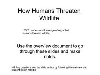 How Humans Threaten Wildlife Use the overview document to go through these slides and make notes. NB Any questions see the slide author by following the overview and student list on moodle L/O To understand the range of ways that humans threaten wildlife. 