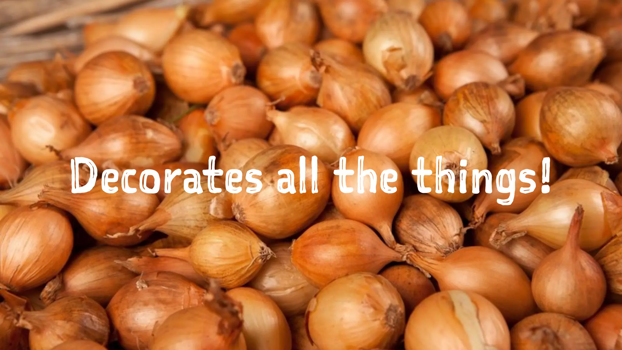 Decorates all the things!
 