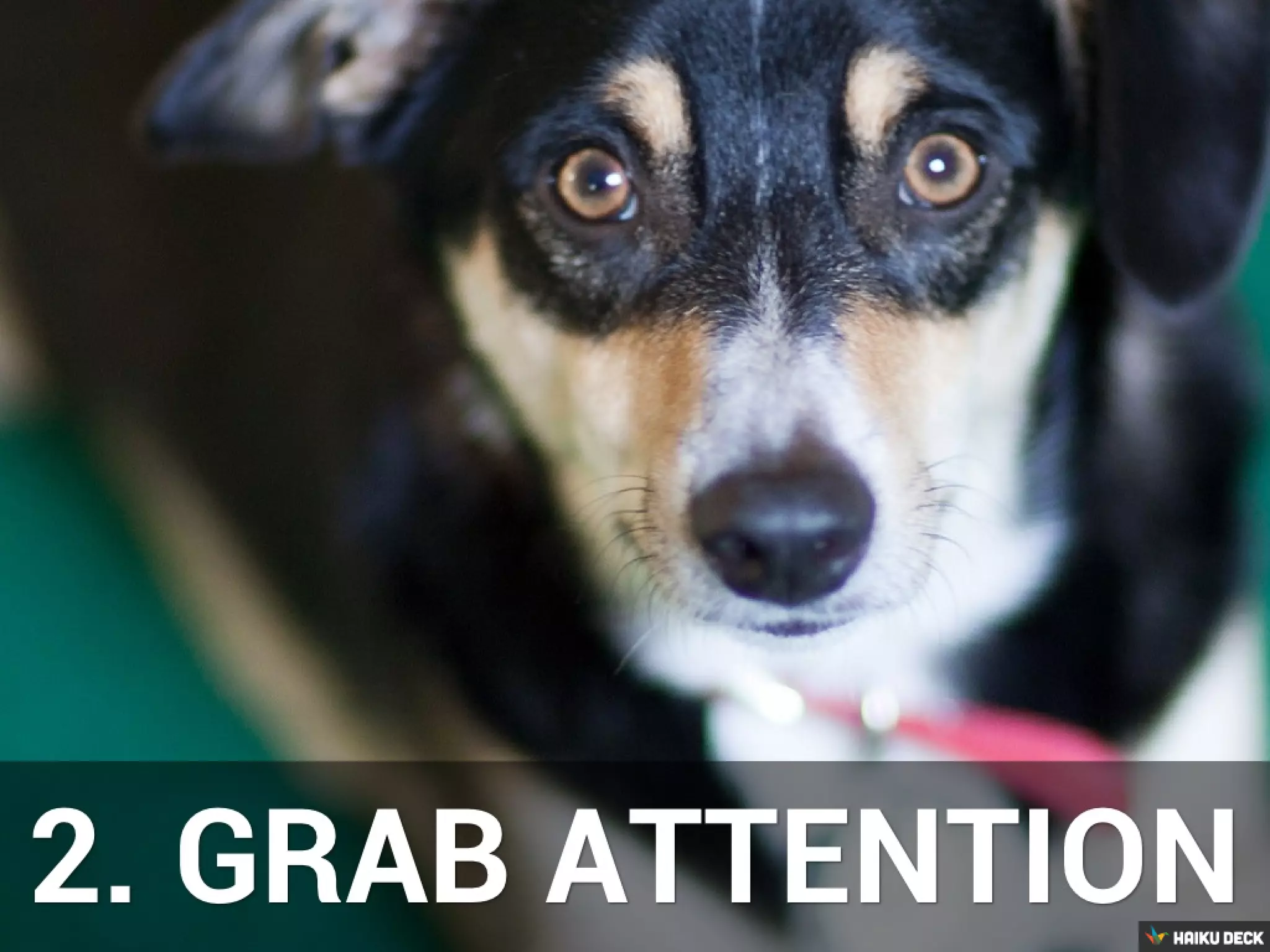 Photo by Anthony Stone - http://www.flickr.com/photos/adstone/5874271277/
 