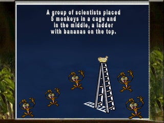 A group of scientists placed 5 monkeys in a cage and in the middle, a ladder with bananas on the top. 