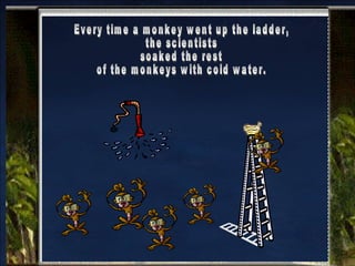 Every time a monkey went up the ladder,  the scientists  soaked the rest  of the monkeys with cold water. 