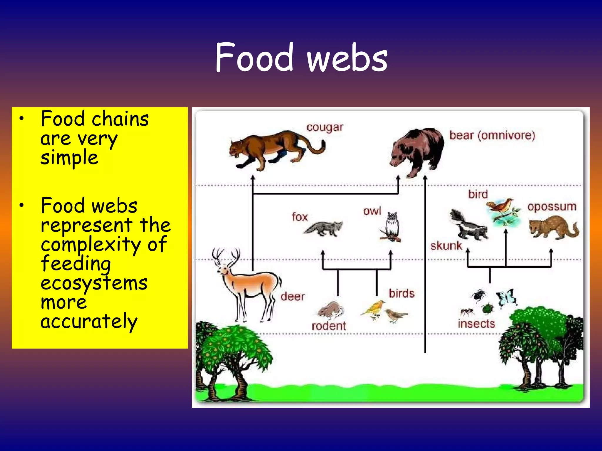 Food webs Food chains are very simple Food webs represent the complexity of feeding ecosystems more accurately 
