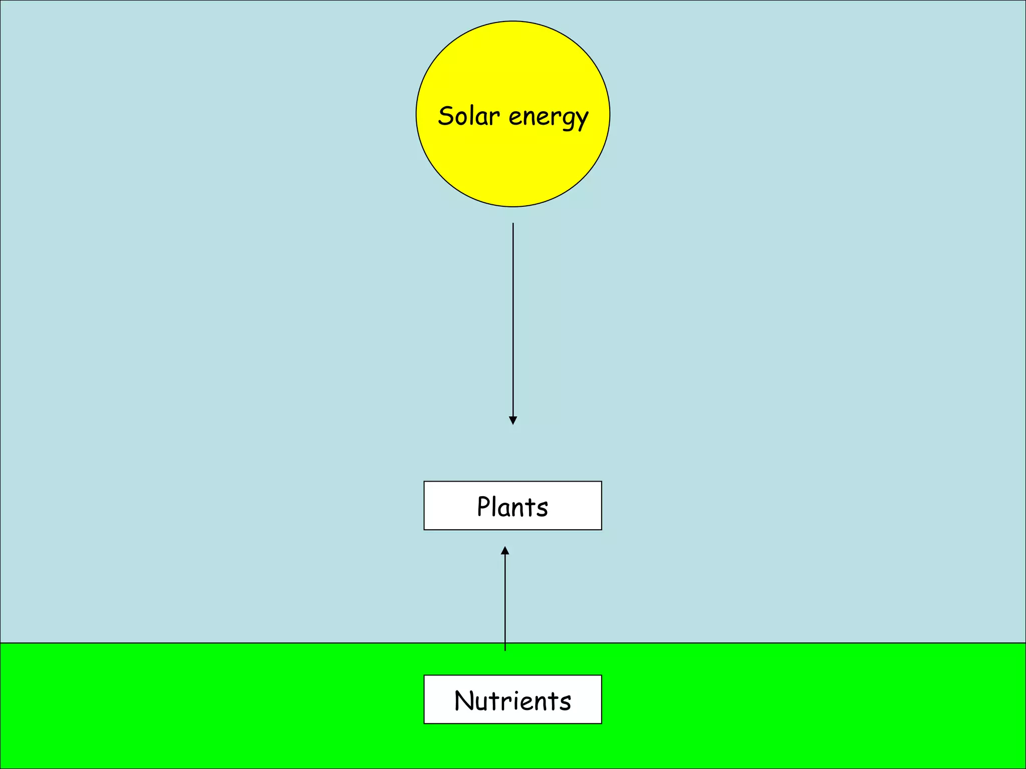 Nutrients Plants Solar energy 