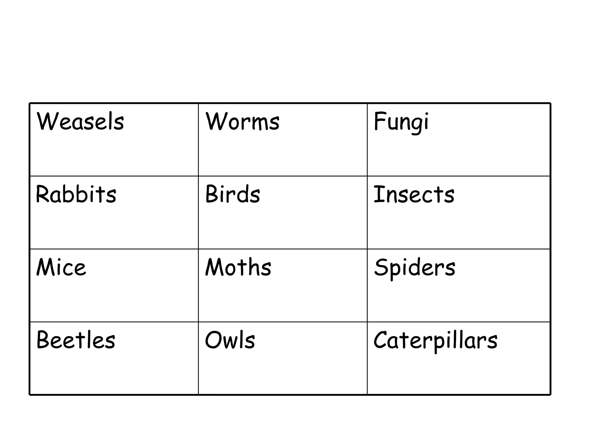 Caterpillars Owls Beetles Spiders Moths Mice Insects Birds Rabbits Fungi Worms Weasels 