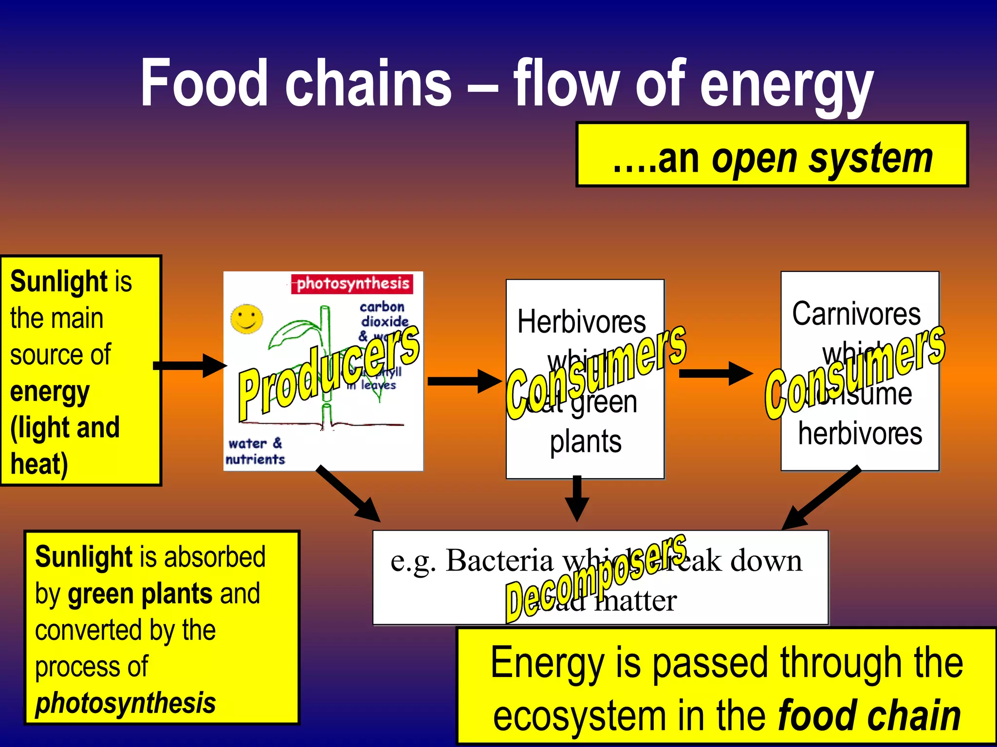 Food chains – flow of energy Sunlight  is the main source of  energy (light and heat) Sunlight  is absorbed by  green plants  and converted by the process of  photosynthesis Herbivores  which  eat green  plants Carnivores  which  consume  herbivores e.g. Bacteria which break down  dead matter Producers Consumers Consumers Decomposers Energy is passed through the ecosystem in the  food chain … .an  open system 