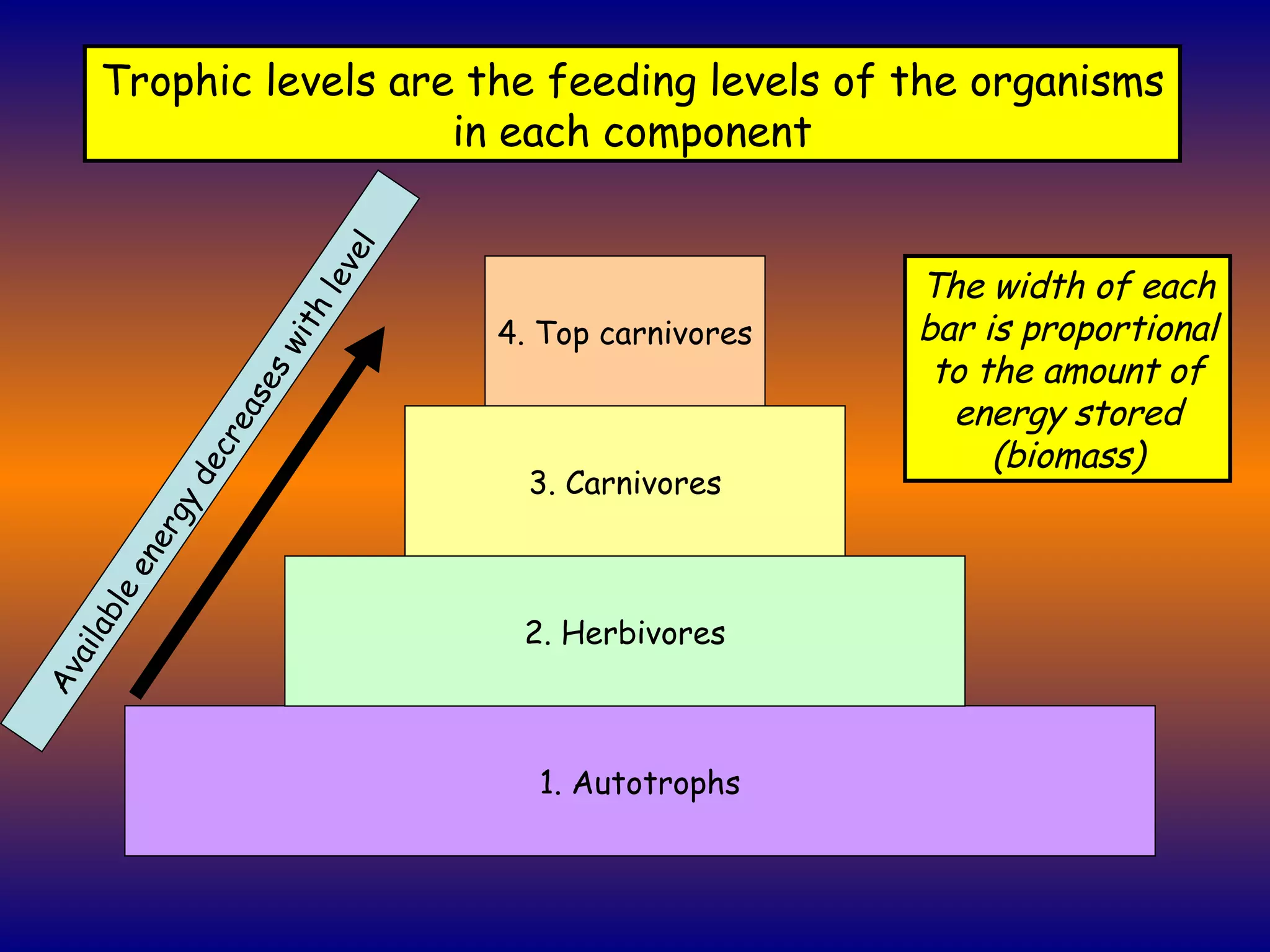 1. Autotrophs 4. Top carnivores 3. Carnivores 2. Herbivores Trophic levels are the feeding levels of the organisms in each component Available energy decreases with level The width of each bar is proportional to the amount of energy stored (biomass) 