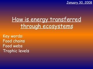 How is energy transferred through ecosystems Key words: Food chains Food webs Trophic levels May 29, 2009 