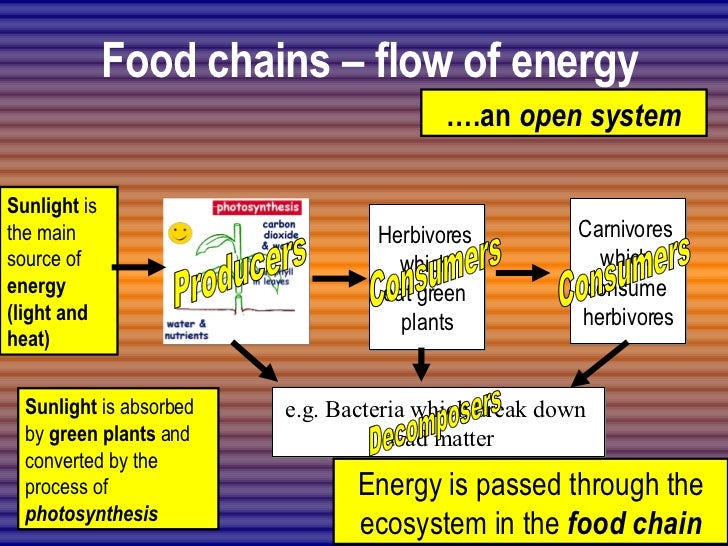 how-is-energy-transferred