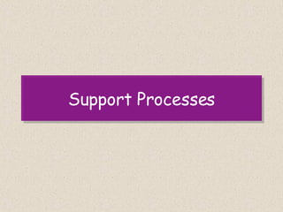 Support Processes 
