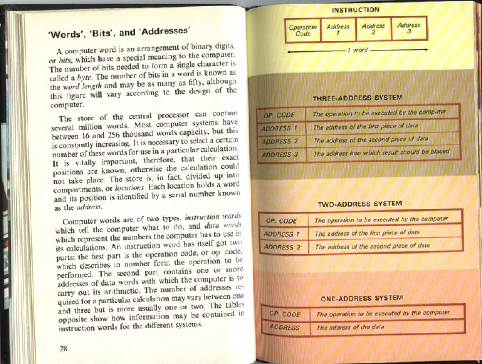 How It Works   The Computer (1979 Edition)