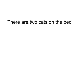 There are two cats on the bed 