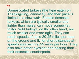 Domesticated turkeys (the type eaten on Thanksgiving) cannot fly, and their pace is limited to a slow walk. Female domestic turkeys, which are typically smaller and lighter than males, can move somewhat faster. Wild turkeys, on the other hand, are much smaller and more agile. They can reach speeds of up to 20-25 miles per hour on the ground and fly for short distances at speeds approaching 55 miles per hour. They also have better eyesight and hearing than their domestic counterparts. No 