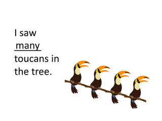 I saw
_____
toucans in
the tree.
many
 
