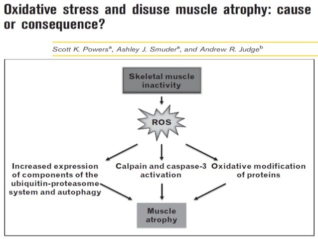 how much protein in a how much protein in the critical illness how much protein in a how much protein in the critical illness