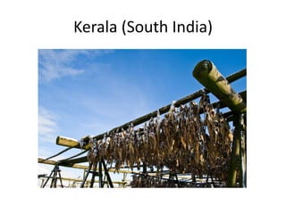 Kerala (South India)