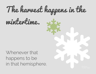 The harvest happens in the
wintertime.
Whenever that
happens to be
in that hemisphere. © Lil Squid
The Noun Project
 