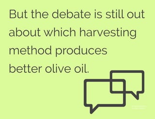 But the debate is still out
about which harvesting
method produces
better olive oil.
© Paulina Szatanik
The Noun Project
 
