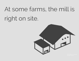 At some farms, the mill is
right on site.
© Ana Maria Lora Macias
The Noun Project
 