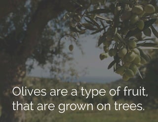 Olives are a type of fruit,
that are grown on trees.
 