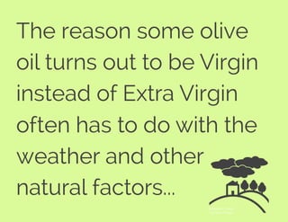 The reason some olive
oil turns out to be Virgin
instead of Extra Virgin
often has to do with the
weather and other
natural factors...
© Maurizio Fusillo
The Noun Project
 