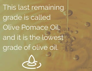 This last remaining
grade is called
Olive Pomace Oil,
and it is the lowest
grade of olive oil.
Icon © Kristen Lehua
The Noun Project
 