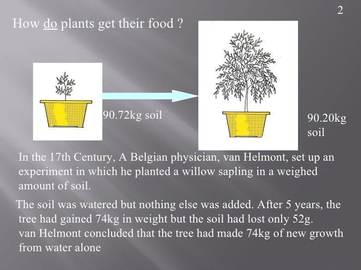 How plantsgetfood