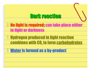 Dark reactionDark reaction
 No light is required; can take place either
in light or darkness
 Hydrogen produced in light reaction
combines with CO2 to form carbohydrates
 Water is formed as a by-product
 