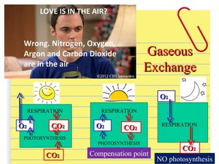 GaseousGaseous
ExchangeExchange
RESPIRATION
PHOTOSYNTHESIS
COCO22
OO22 COCO22
PHOTOSYNTHESIS
OO22
RESPIRATION
COCO22
Compensation point
NO photosynthesis
OO22
RESPIRATION
COCO22
 