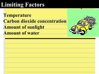 Limiting Factors
Temperature
Carbon dioxide concentration
Amount of sunlight
Amount of water
 