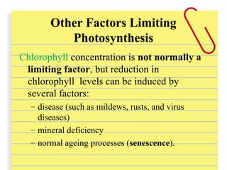 Chlorophyll concentration is not normally a
limiting factor, but reduction in
chlorophyll levels can be induced by
several factors:
– disease (such as mildews, rusts, and virus
diseases)
– mineral deficiency
– normal ageing processes (senescence).
Other Factors Limiting
Photosynthesis
 
