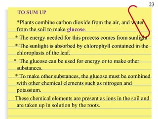 *Plants combine carbon dioxide from the air, and water
from the soil to make glucose.
* The energy needed for this process comes from sunlight
* The sunlight is absorbed by chlorophyll contained in the
chloroplasts of the leaf.
* The glucose can be used for energy or to make other
substances.
* To make other substances, the glucose must be combined
with other chemical elements such as nitrogen and
potassium.
These chemical elements are present as ions in the soil and
are taken up in solution by the roots.
23
TO SUM UP
 