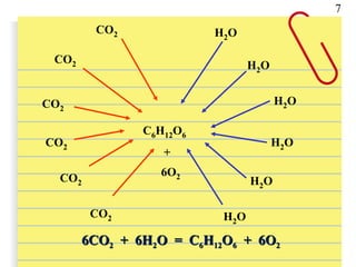 C6H12O6
CO2
CO2
CO2
CO2
CO2
CO2
H2O
H2O
H2O
H2O
H2O
H2O
6O2
+
7
6CO6CO22 + 6H+ 6H22O = CO = C66HH1212OO66 + 6O+ 6O22
 