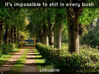 Photo by Hindrik S - Creative Commons Attribution-NonCommercial-ShareAlike License https://www.flickr.com/photos/63991153@N00 Created with Haiku Deck 
 